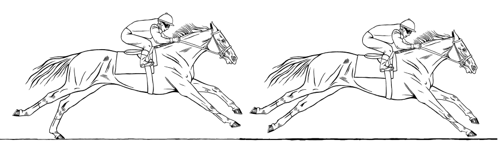 Fig 08 Secretariat Rotatory Gallop Double susp sm_2.jpg
