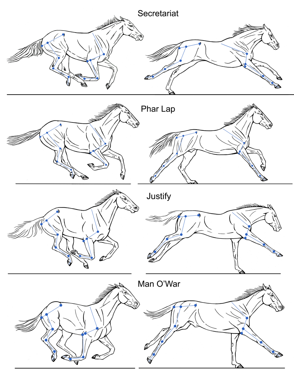 Fig 12 Gallop Famous Racehorses Compared sm_2.jpg