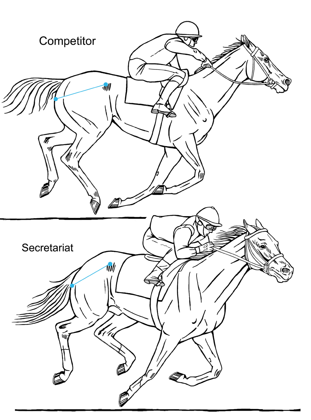 Fig 13 More vs Less Loin Coil Secretariat sm_2.jpg
