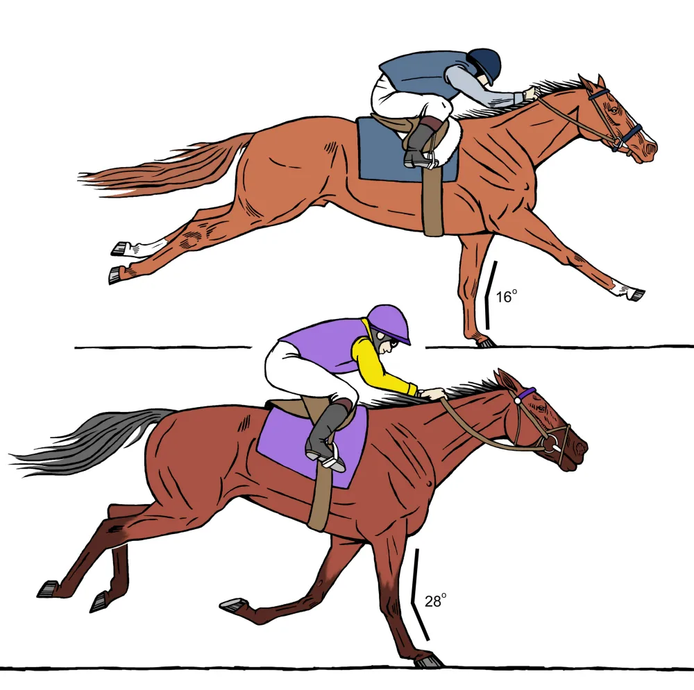 Fig 01 Gallop racehorse Flexor fatigue sm2.jpg