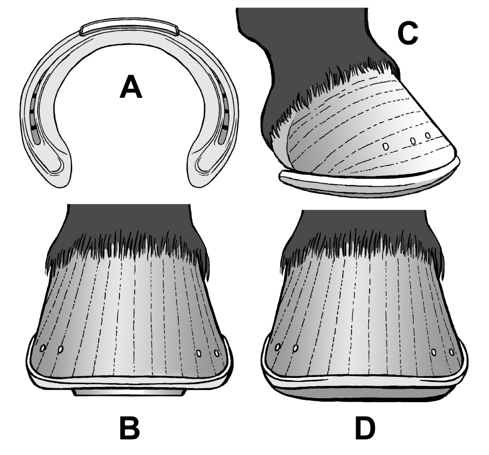 Fig 13 Horse shoe grab vs rockroll sm2.jpg