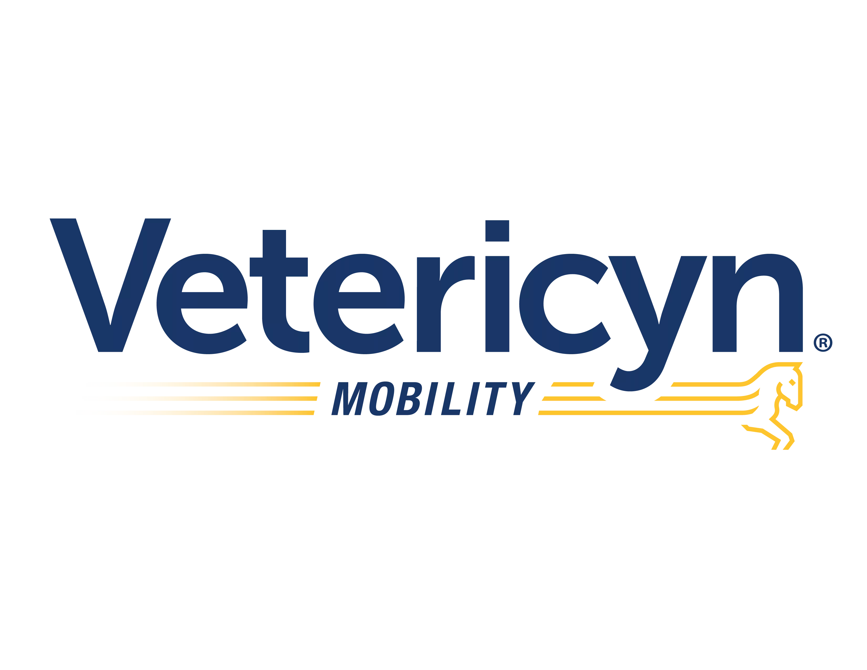 LOGO-VetericynMobility_Blue.png