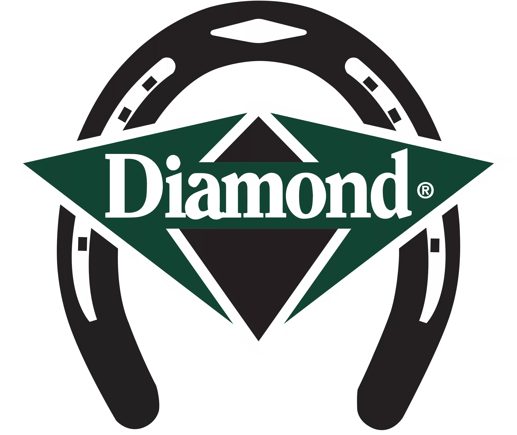 NEW_DIAMONDlogo.png