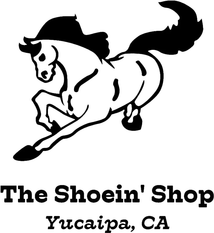 shoeinshop_logo.png