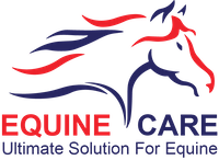 Equine Care
