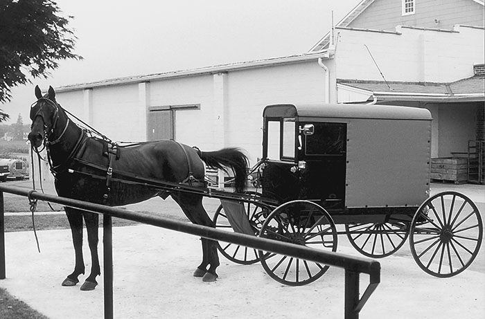 Amish-1.jpg