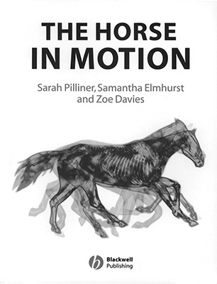 Horse In Motion.jpg