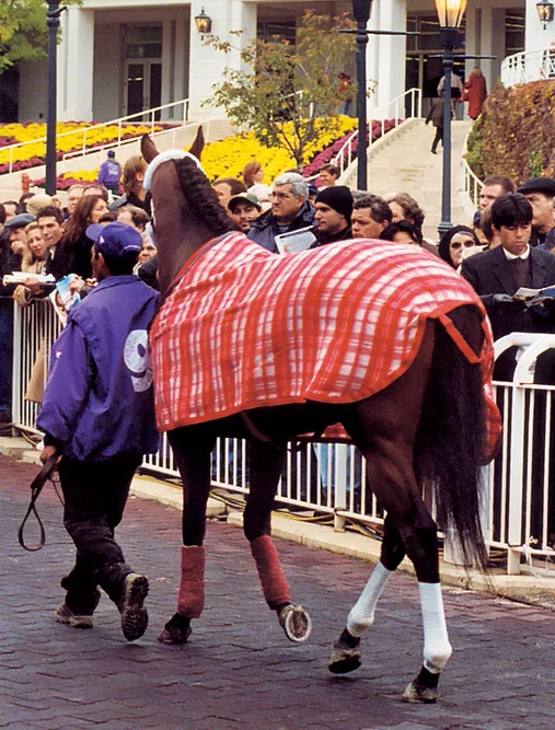 One Time Shoeing
