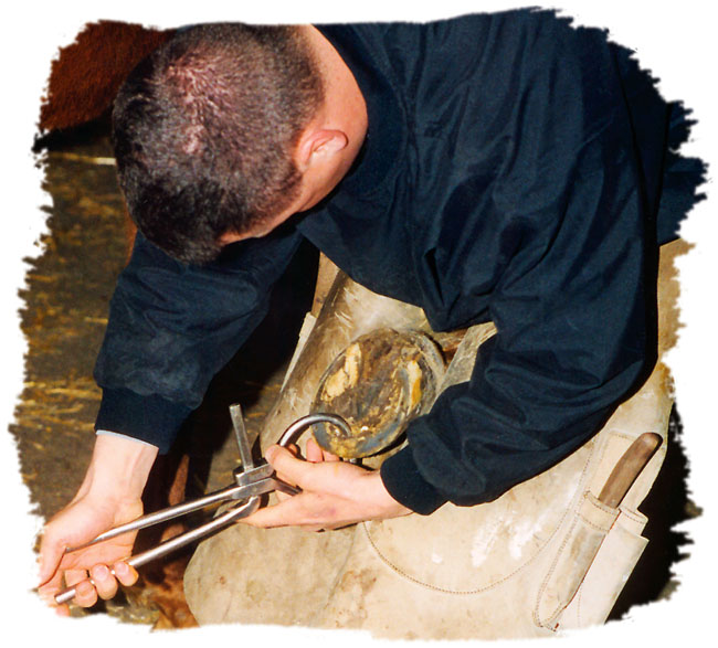 Hoof Testers Squeezed Between Expectations And Limitations