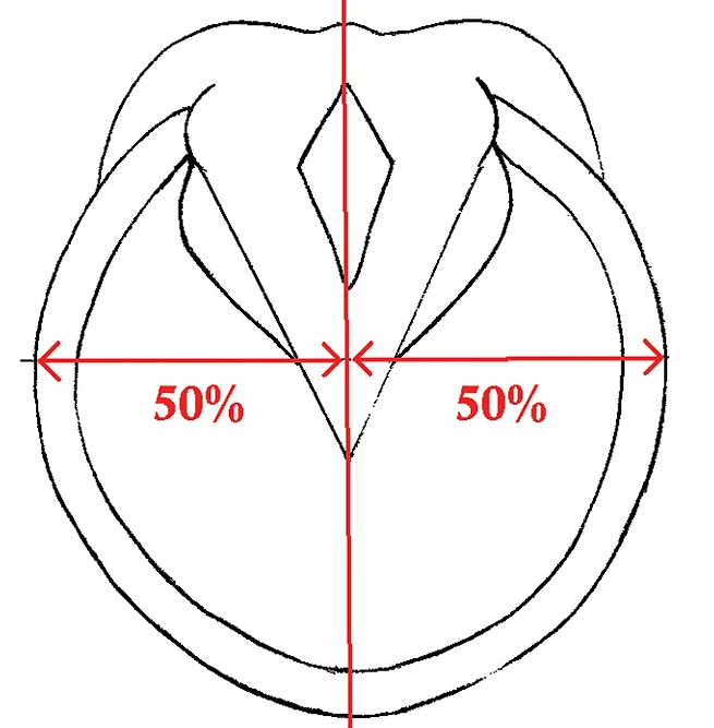 Figure1.jpg