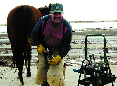 Shoeing Feedlot Horses American Farriers Journal