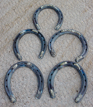 Shoeing Feedlot Horses American Farriers Journal