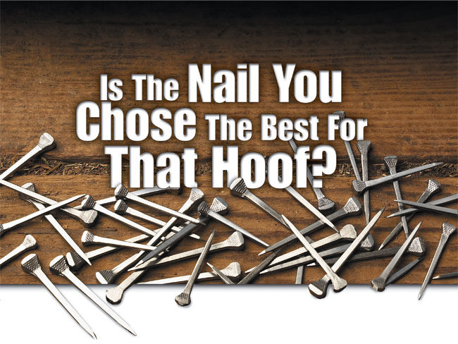 Is the Nail You Chose the Best for That Hoof?