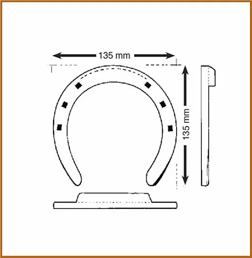 TOE CAP