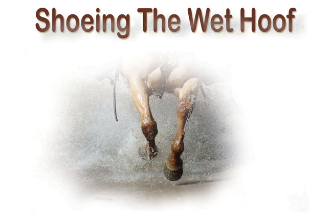 Shoeing the Wet Hoof