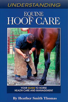 Understanding equine hoof care.jpg