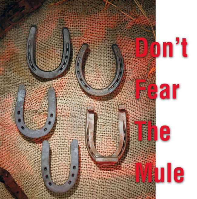 Don't Fear The Mule 20070901 American Farriers Journal