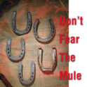Don't Fear the Mule