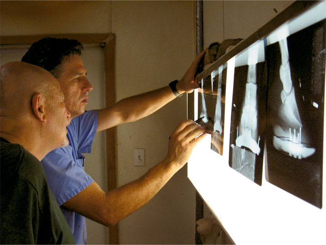 Diagnostic Imaging For Lameness | American Farriers Journal