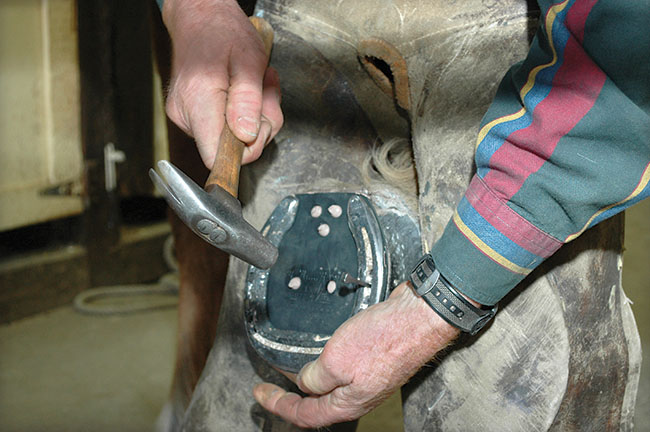 12oz Professional Horse Shoe Hoof Farrier Octagon Nail Driving Hammer 984104 