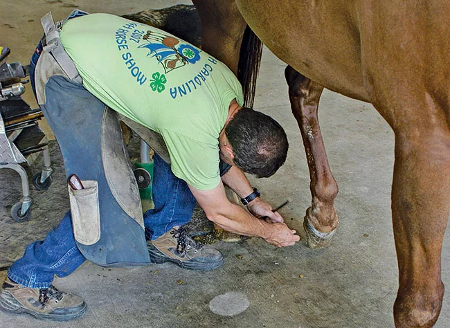 Hoofcare_QA_2.jpg