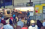 Farriers-Day-3.jpg