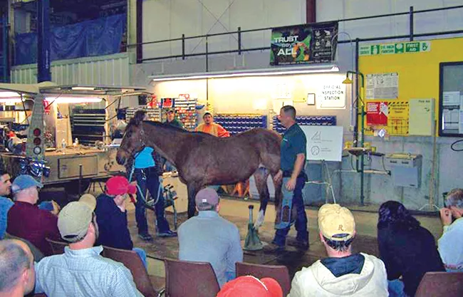 Farriers-Day-3.jpg
