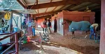 20131223-Chapman-6.jpg