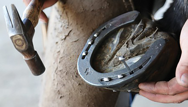 Horse Shoe Nail: Essential Tips for Perfect Hoof Care