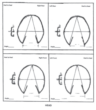 Figure11.jpg