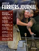Cover_AFJ_1216_pub.jpg