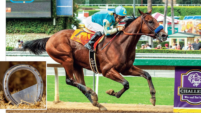 5x7 Color photo American Pharoah   5 to choose from 