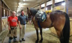 Farriers for the Philadelphia Police Department
