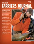 Cover_AFJ_0316_4c_web_forpub