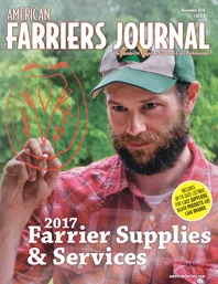 Cover_AFJ_1116_4c_forpub.jpg