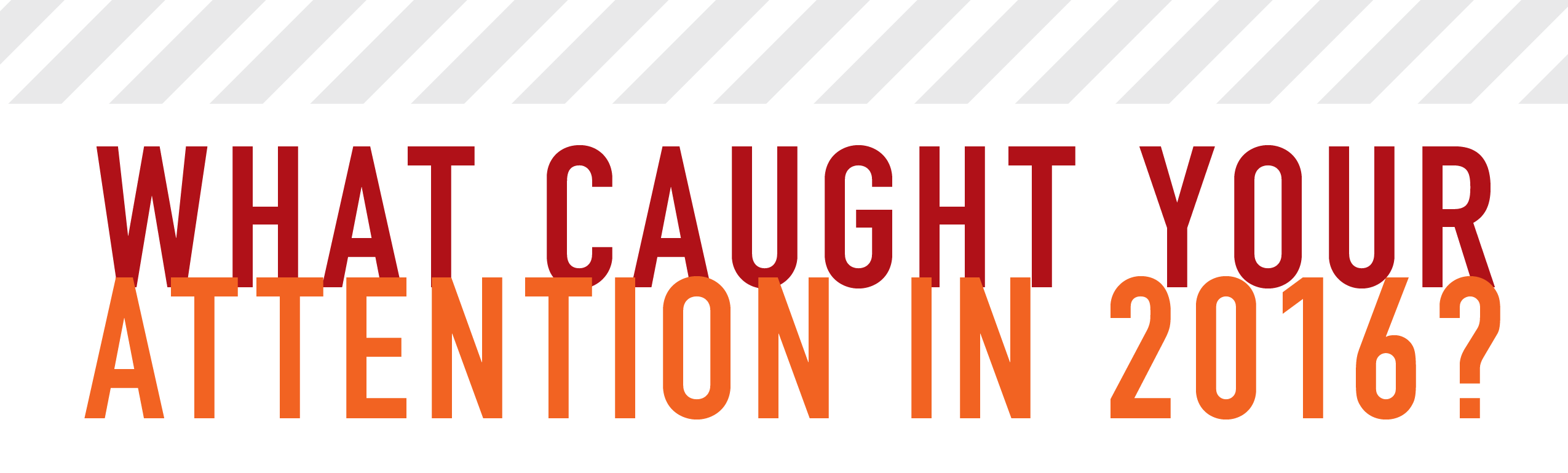 What caught your attention in 2016