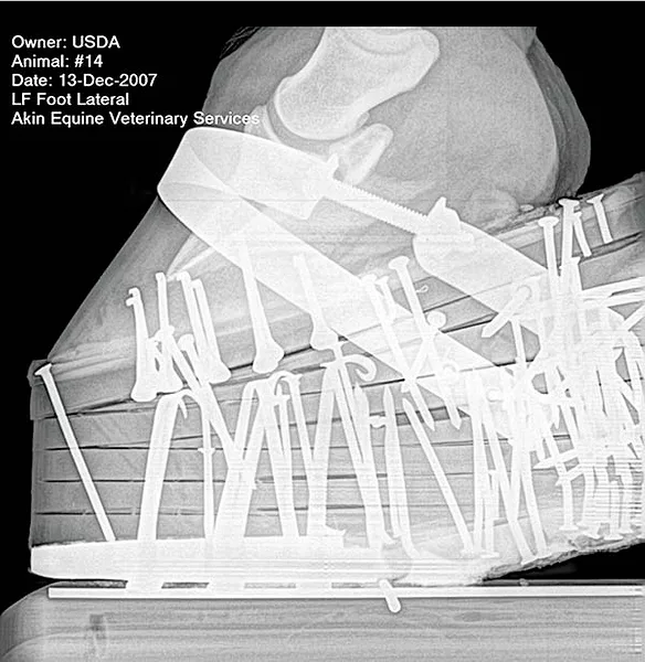 Radiograph-0908.jpg