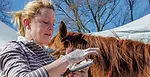 0319_Centaur_Forge_Clinic_JC_0417.jpg