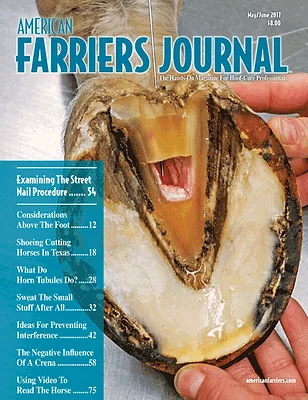Cover_AFJ_0517_web.png