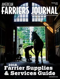 Cover_AFJ_1117_pub.jpg