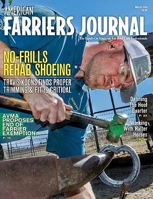 Cover_AFJ_0318_web.jpg