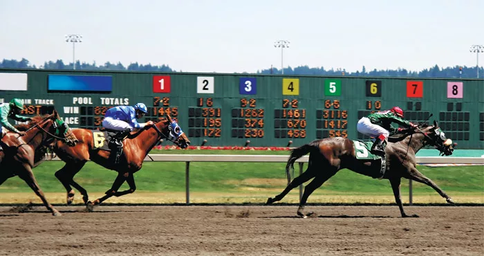 iStock_000002168858Large_horseracing.jpg