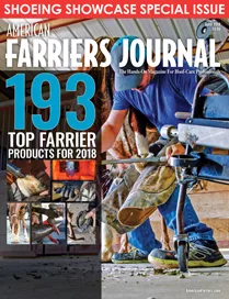 Cover_AFJ_0418_pub.jpg