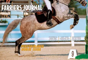Cover-Gatefold_AFJ_0518_pub.jpg