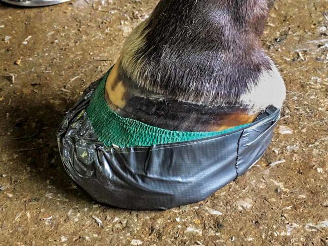 A Practical Approach to Carrying Out a Horseshoeing Prescription
