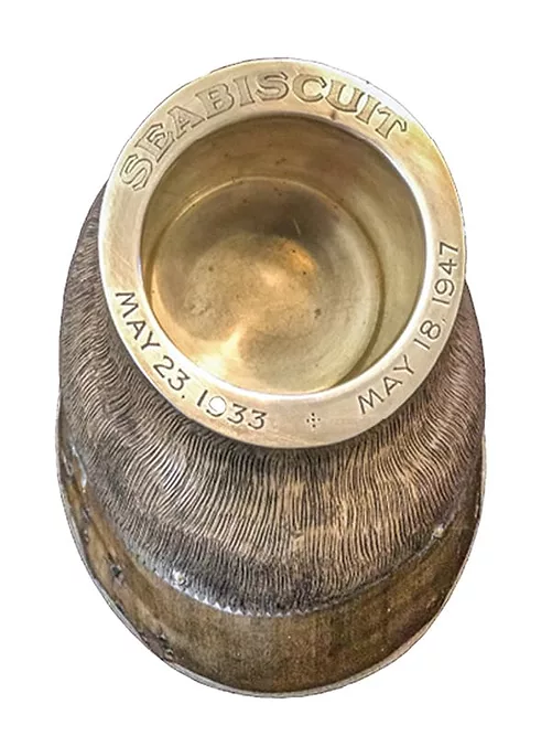 Image_3.jpg