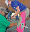 Veterinarians-and-farriers-work-together.jpg