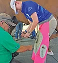 Veterinarians-and-farriers-work-together.jpg
