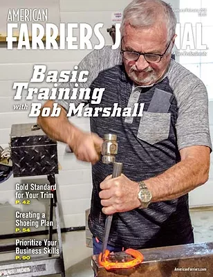 Cover_AFJ_0119_web.jpg