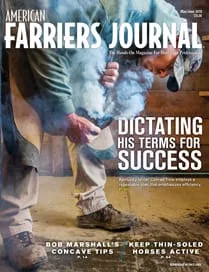 Cover_AFJ_0519_pub.jpg